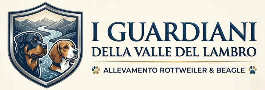 I Guardiani del Lambro - cuccioli in gioco